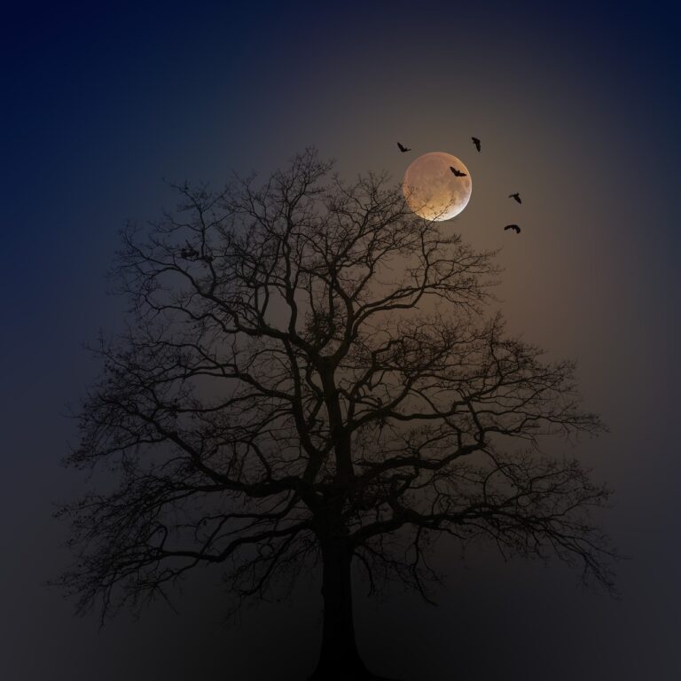 halloween, tree, silhouette-4582988.jpg